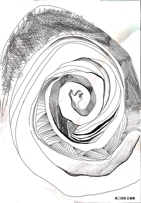 20210514214692.jpg