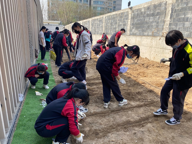 20210514713804.jpg 春耕劳作03.jpg