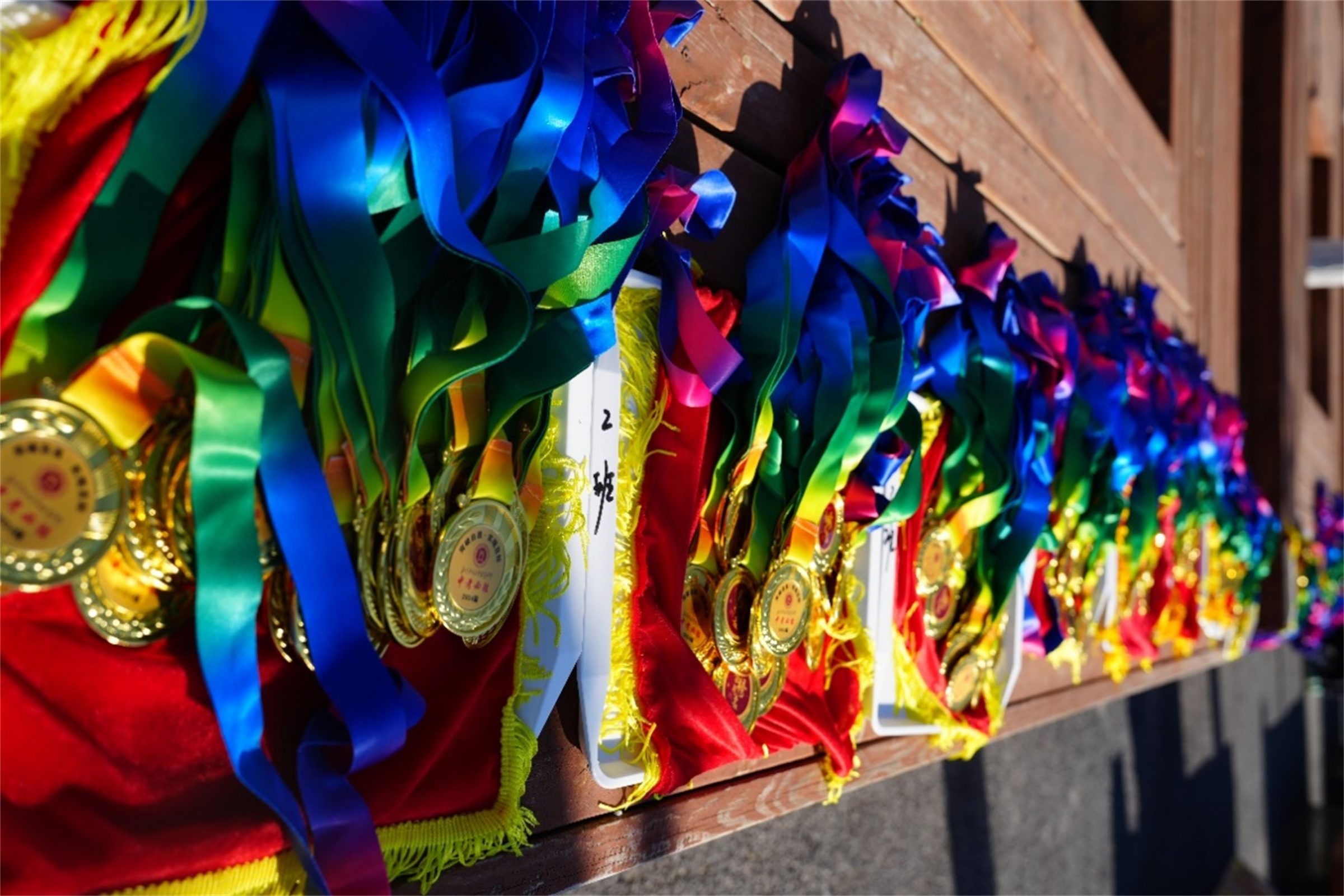 20240103831476.jpg 22.jpg