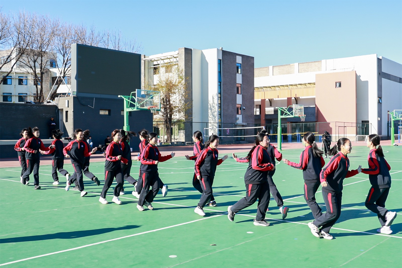 20250106102431.jpg GY5A8750.jpg